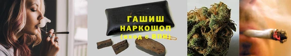 PSILOCYBIN Алзамай